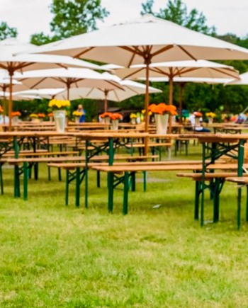 Location Table Brasserie Rectangulaire Bois 220x80 – Convivialité et Fonctionnalité