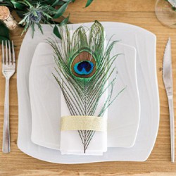 Assiettes Élégance